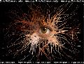 Hebergement gratuit d image et photo