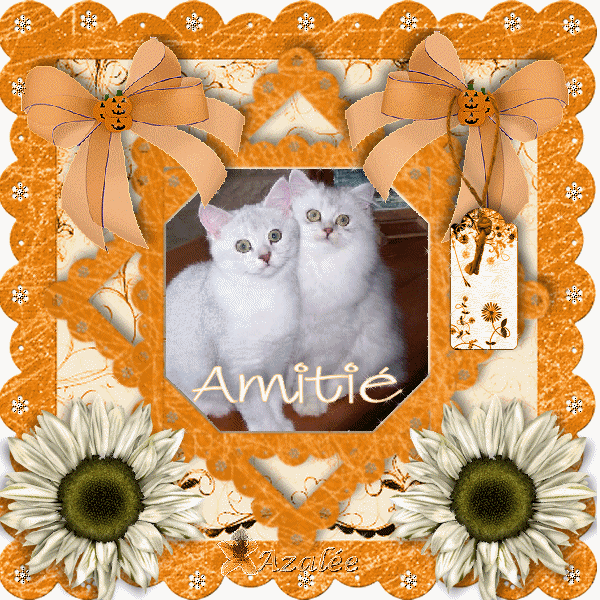 Image h�berg�e par Casimages.com : votre h�bergeur d images simple et gratuit