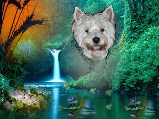 Image h�berg�e par Casimages.com : votre h�bergeur d images simple et gratuit