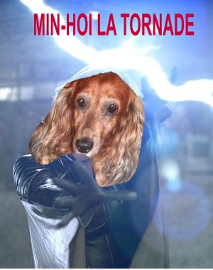 Image h�berg�e par Casimages.com : votre h�bergeur d images simple et gratuit