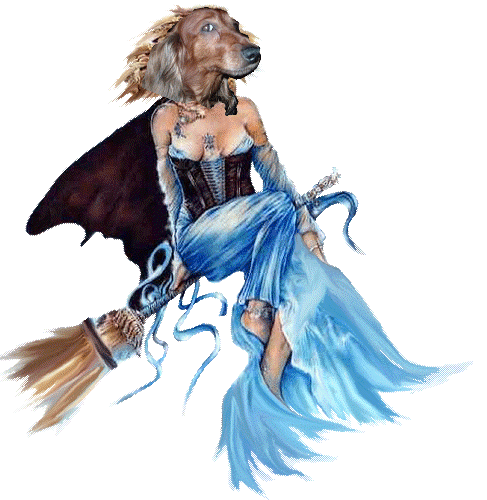 Image h�berg�e par Casimages.com : votre h�bergeur d images simple et gratuit