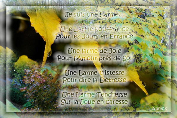 Image hébergée par Casimages.com : votre hébergeur d images simple et gratuit