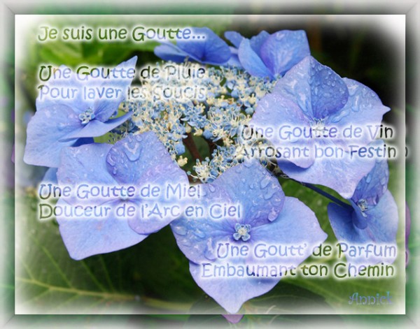Image hébergée par Casimages.com : votre hébergeur d images simple et gratuit