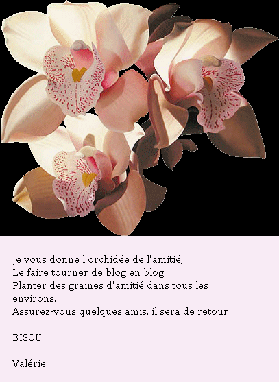 Image hébergée par Casimages.com : votre hébergeur d images simple et gratuit