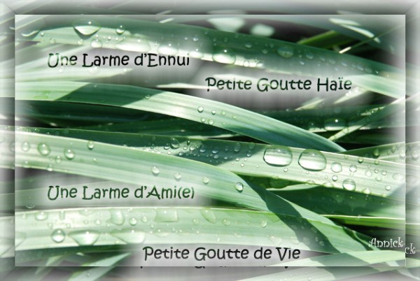 Image hébergée par Casimages.com : votre hébergeur d images simple et gratuit