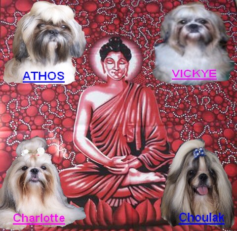 Image h�berg�e par Casimages.com : votre h�bergeur d images simple et gratuit
