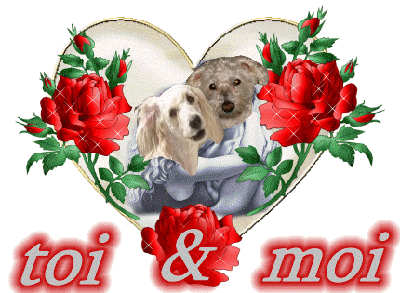 Image h�berg�e par Casimages.com : votre h�bergeur d images simple et gratuit