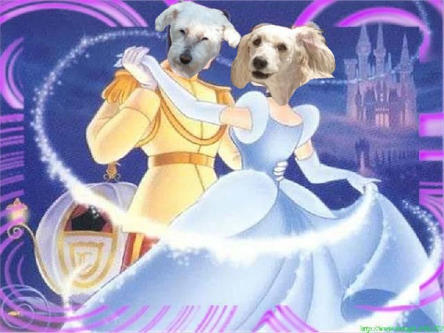 Image h�berg�e par Casimages.com : votre h�bergeur d images simple et gratuit