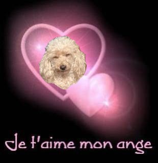Image h�berg�e par Casimages.com : votre h�bergeur d images simple et gratuit