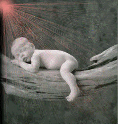 Image hébergée par Casimages.com : votre hébergeur d images simple et gratuit