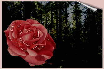 Image hébergée par Casimages.com : votre hébergeur d images simple et gratuit
