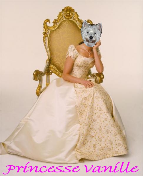 Image h�berg�e par Casimages.com : votre h�bergeur d images simple et gratuit