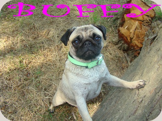 Image h�berg�e par Casimages.com : votre h�bergeur d images simple et gratuit