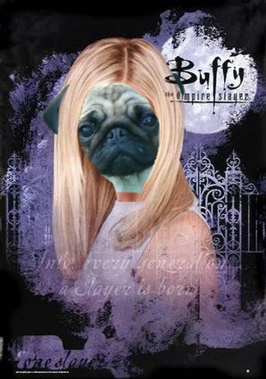 Image h�berg�e par Casimages.com : votre h�bergeur d images simple et gratuit