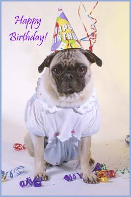 Image h�berg�e par Casimages.com : votre h�bergeur d images simple et gratuit