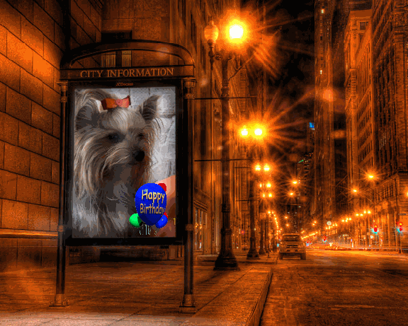 Image h�berg�e par Casimages.com : votre h�bergeur d images simple et gratuit