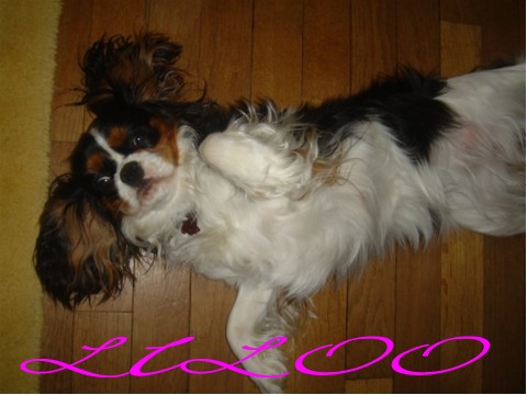 Image h�berg�e par Casimages.com : votre h�bergeur d images simple et gratuit