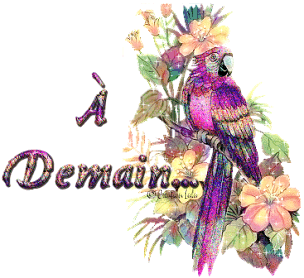 Image h�berg�e par Casimages.com : votre h�bergeur d images simple et gratuit