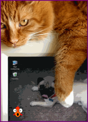Image h�berg�e par Casimages.com : votre h�bergeur d images simple et gratuit