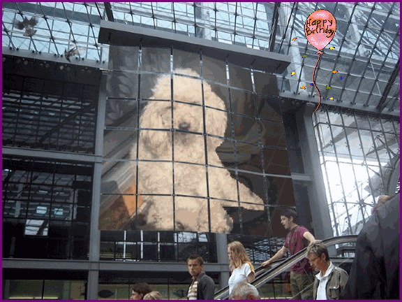 Image h�berg�e par Casimages.com : votre h�bergeur d images simple et gratuit