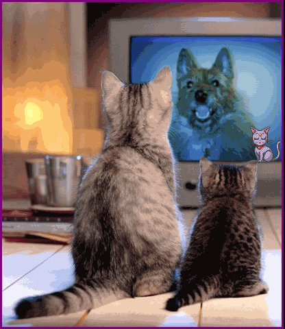 Image h�berg�e par Casimages.com : votre h�bergeur d images simple et gratuit