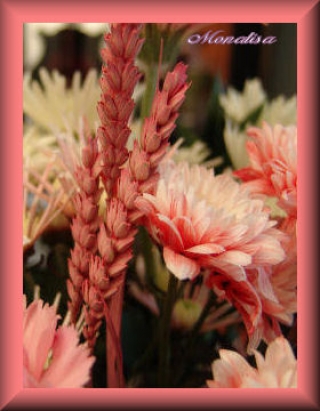 Image hébergée par Casimages.com : votre hébergeur d images simple et gratuit