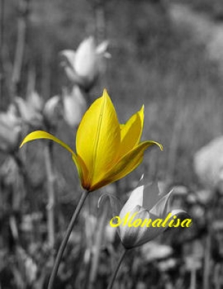 Image hébergée par Casimages.com : votre hébergeur d images simple et gratuit
