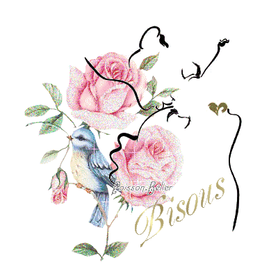 Image h�berg�e par Casimages.com : votre h�bergeur d images simple et gratuit