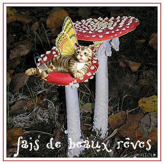 Image h�berg�e par Casimages.com : votre h�bergeur d images simple et gratuit