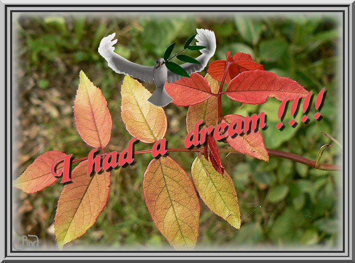 Image h�berg�e par Casimages.com : votre h�bergeur d images simple et gratuit
