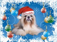 Image h�berg�e par Casimages.com : votre h�bergeur d images simple et gratuit