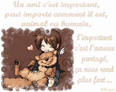 Image h�berg�e par Casimages.com : votre h�bergeur d images simple et gratuit