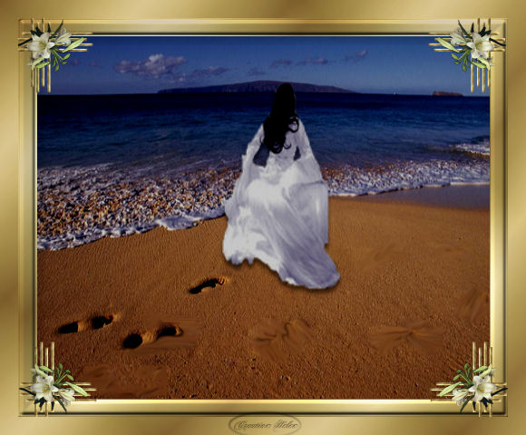 Image hébergée par Casimages.com : votre hébergeur d images simple et gratuit