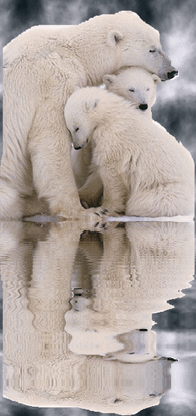 Image hébergée par Casimages.com : votre hébergeur d images simple et gratuit