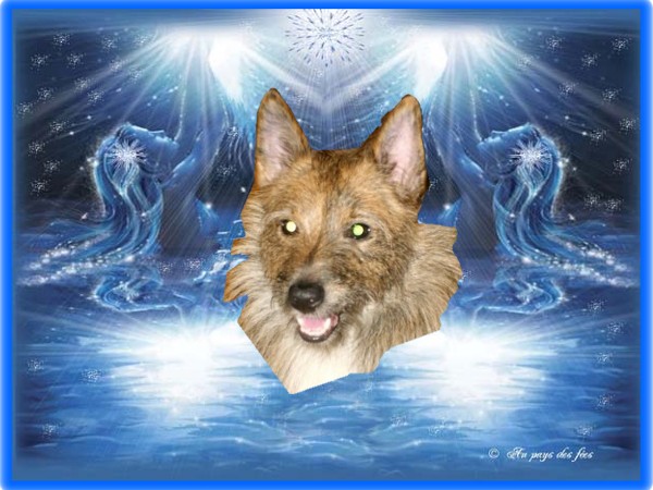 Image h�berg�e par Casimages.com : votre h�bergeur d images simple et gratuit