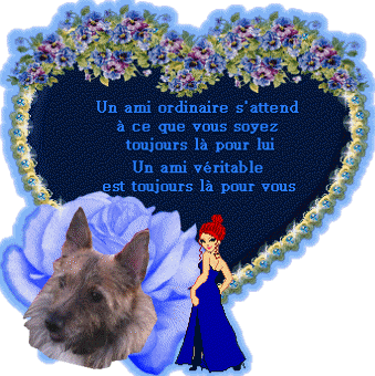 Image h�berg�e par Casimages.com : votre h�bergeur d images simple et gratuit