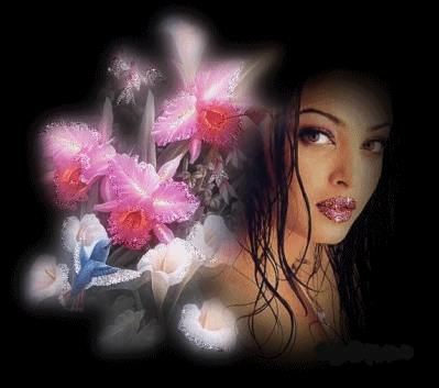 Image h�berg�e par Casimages.com : votre h�bergeur d images simple et gratuit