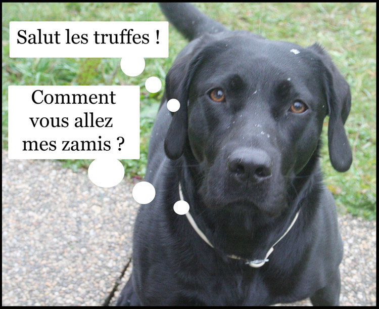 Image hébergée par Casimages.com : votre hébergeur d images simple et gratuit