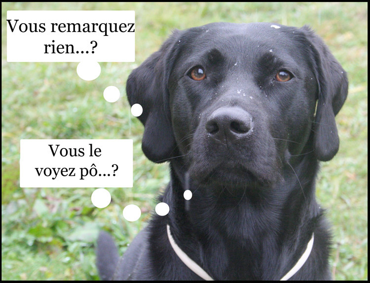 Image h�berg�e par Casimages.com : votre h�bergeur d images simple et gratuit