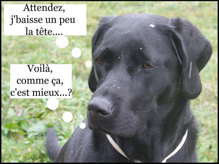 Image h�berg�e par Casimages.com : votre h�bergeur d images simple et gratuit