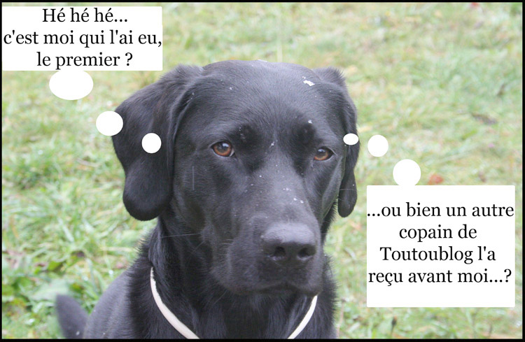 Image h�berg�e par Casimages.com : votre h�bergeur d images simple et gratuit