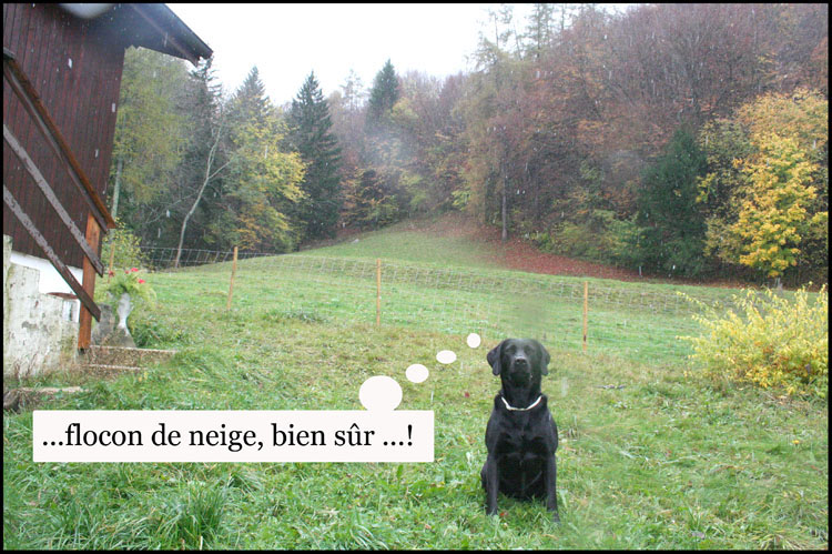 Image hébergée par Casimages.com : votre hébergeur d images simple et gratuit