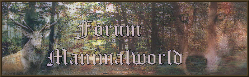 FORUM MANIMALWORLD