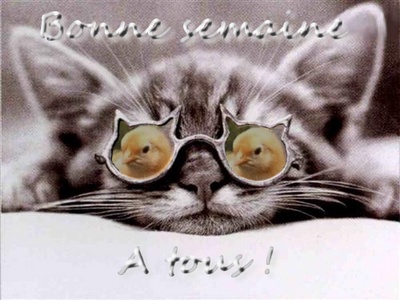 Image h�berg�e par Casimages.com : votre h�bergeur d images simple et gratuit