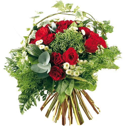 Image h�berg�e par Casimages.com : votre h�bergeur d images simple et gratuit