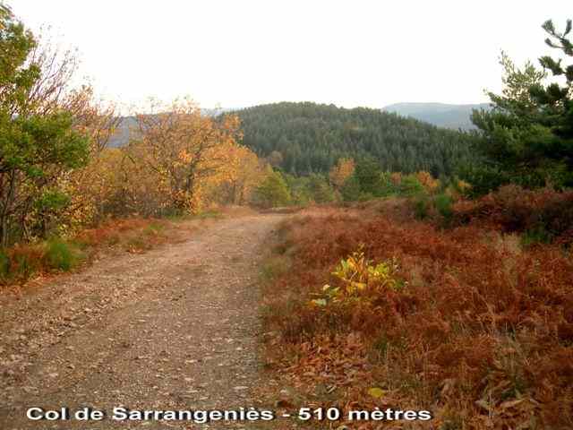 Agrandir l'image