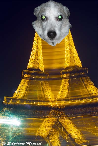 Image h�berg�e par Casimages.com : votre h�bergeur d images simple et gratuit