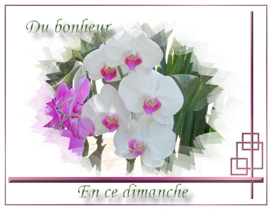 voir l'image en taille réelle