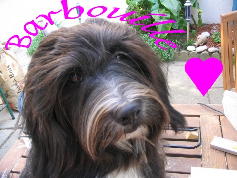 Image h�berg�e par Casimages.com : votre h�bergeur d images simple et gratuit