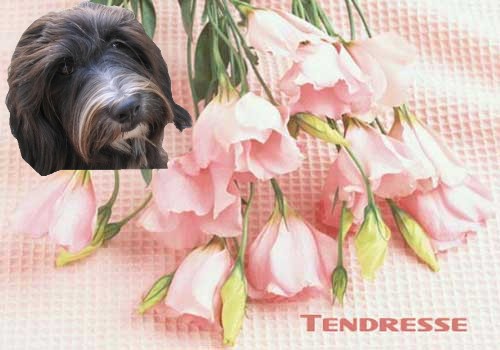 Image h�berg�e par Casimages.com : votre h�bergeur d images simple et gratuit